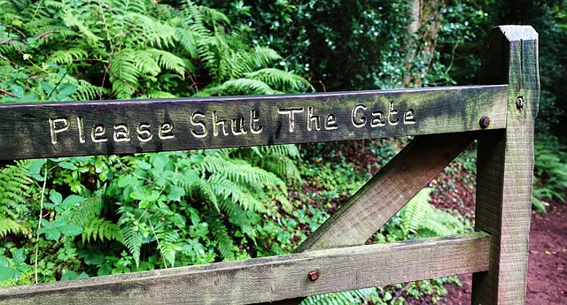 What is a password for,&nbsp;anyway?