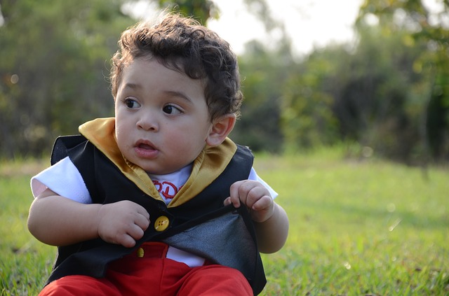 3 tips to avoid security distracti… Look:&nbsp;squirrel!