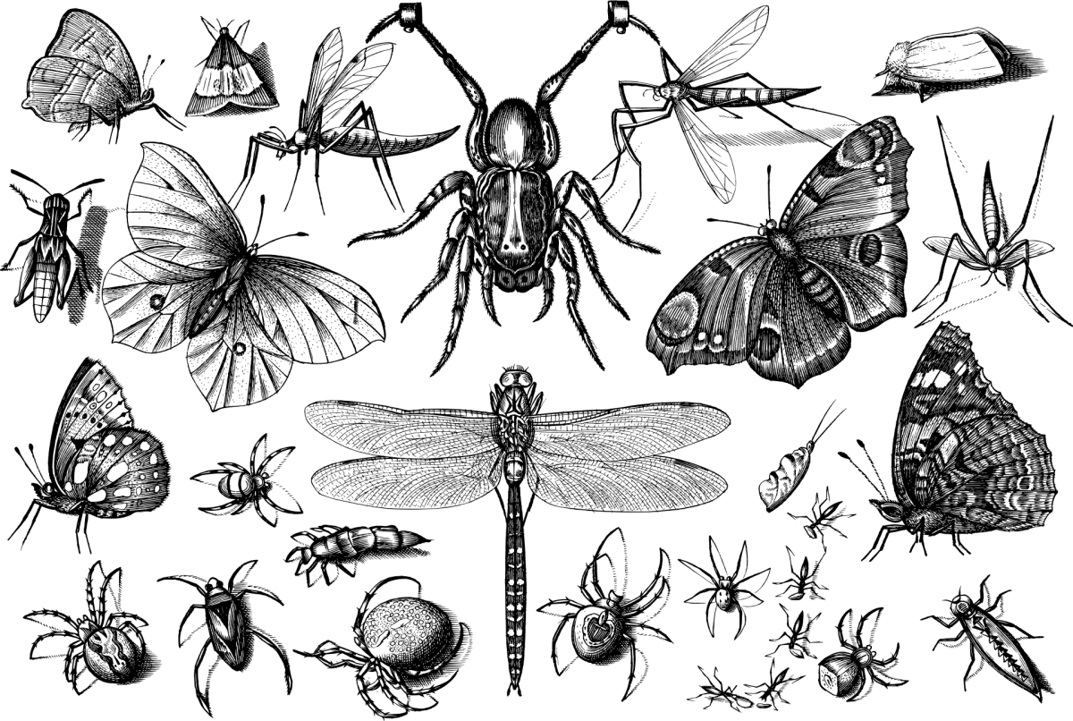 In praise of&nbsp;triage